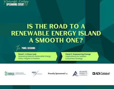 Is the Road to a Renewable Energy Island a Smooth One?