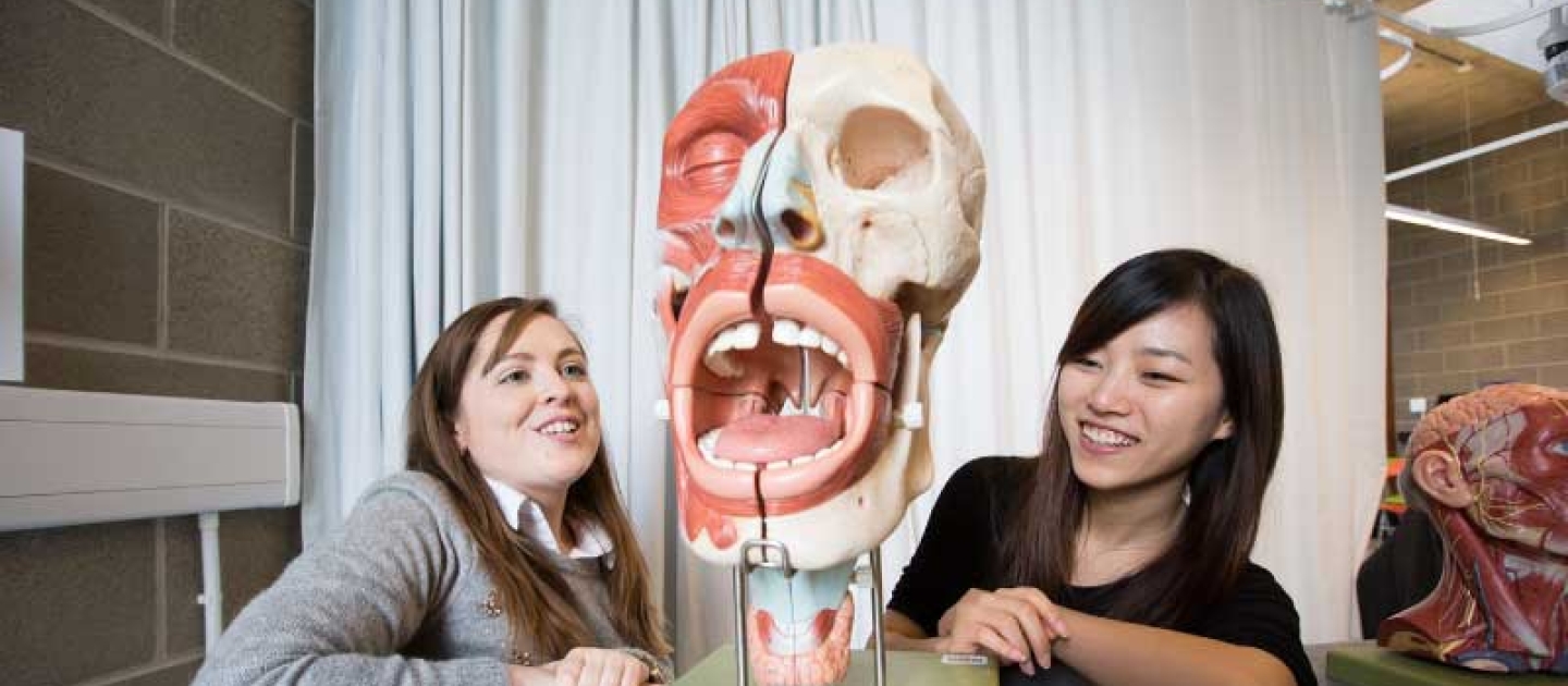two girls looking at the anatomy of human face
