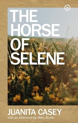 Book cover of The Horse of Selene