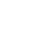 Rosette icon