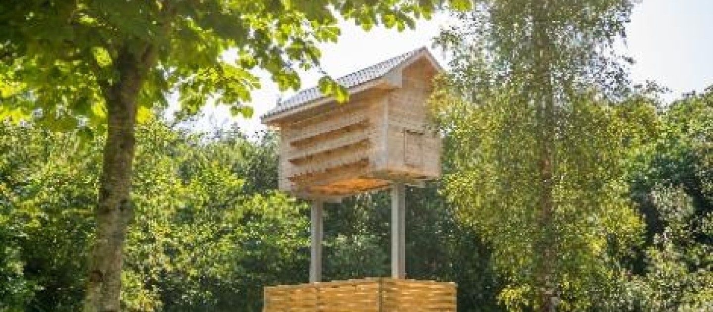UL Apiary Beekeeping