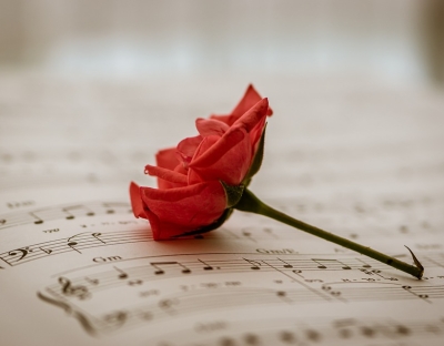 Flower rests on musical score