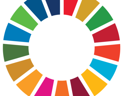 The UN Sustainable Development Goals wheel