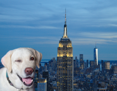 Empire state building with a cut out of a labrador winking