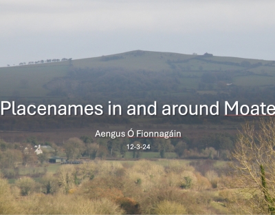 Cover for Placenames in and around Moate