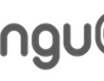 Lingu@num Company logo