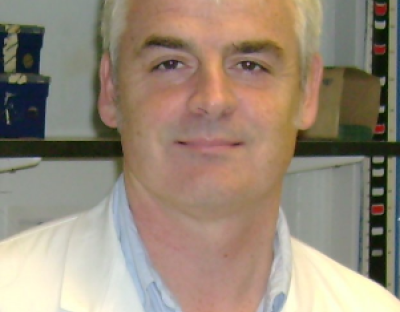 Prof Paul Murray