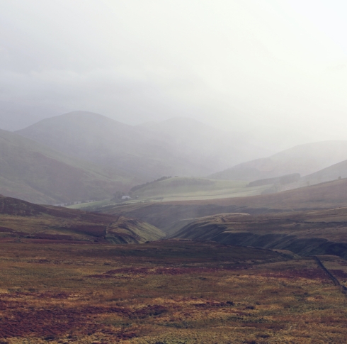 Peatlands image by kind permission @seanpaulkinnear