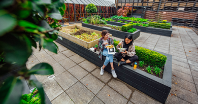 Students eating lunch in the rooftop garden area