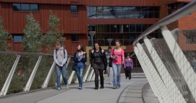 students walking across living bridge