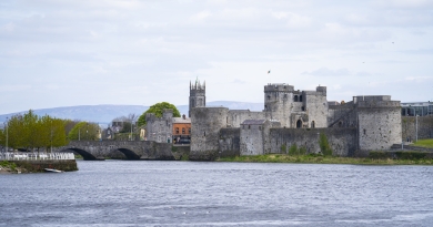 Limerick History Research Seminars