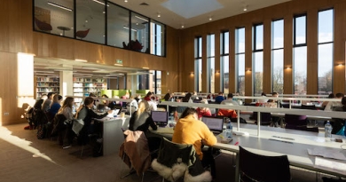 Students studying in the Glucksman Library