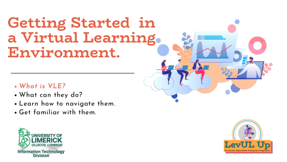 Poster for the Getting Started in a Virtual Learning Environment workshop