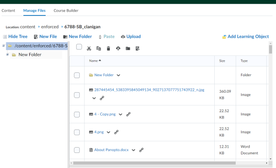Screenshot of Manage Files menu in the Brightspace interface