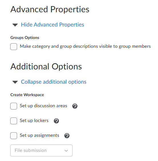 Screenshot of Advanced Properties and Additional Options