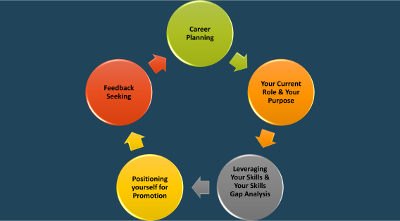 Career Development Wheel. Outlining Learning Outcomes. Career Planning, Your Purpose, leverage your skills, positioning yourself for promotion , Feedback seeking