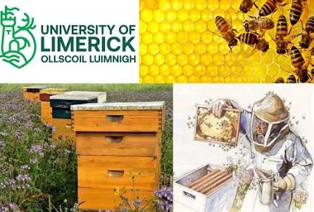 Collage of photographs: UL logo, bees in a honeycomb, apiary in a field, and a beekeeper tending to an apiary.