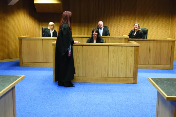 Postgraduate Study in Law at UL