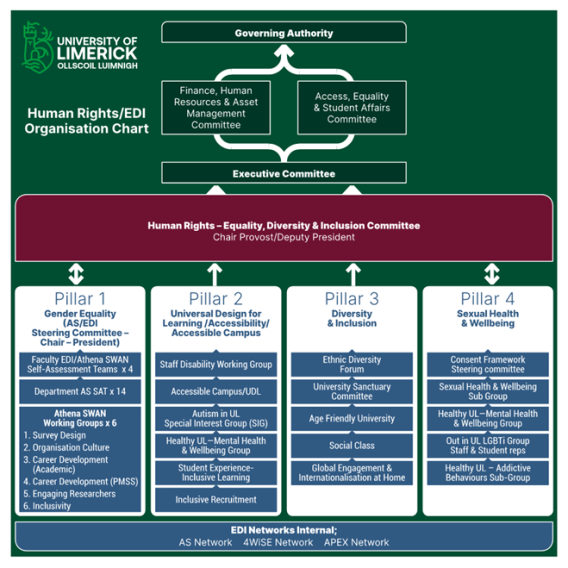 Visual representation of the HR-EDI core pillars and reporting structure