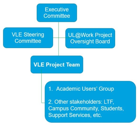 VLE Project Governance Diagram