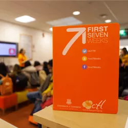 first seven weeks support service