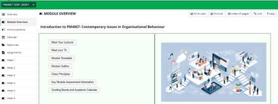 Screenshot of the Module Overview section of the 'PM4067: Contemporary Issues in Organisational Behaviour' Sulis site.