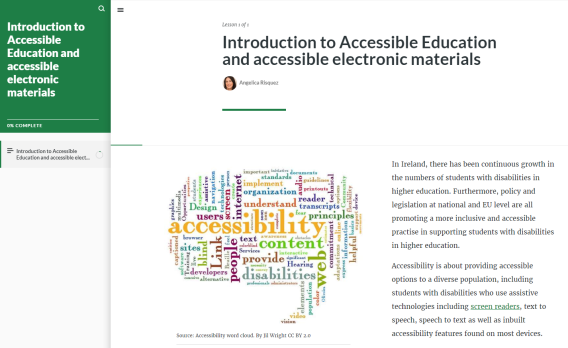 Image depicting the homepage of the Accessible Education and Accessible Online Materials resource developed by LTF members.