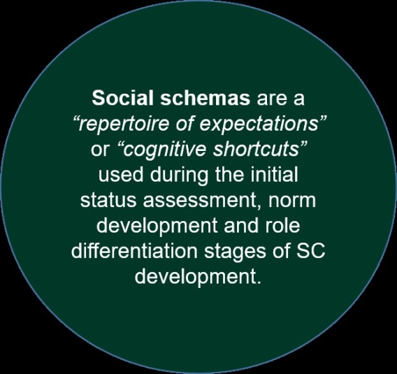 A green circle containing white text explaining that Social schemas are a 'repertoire of expectations' or 'cognitive shortcuts'.