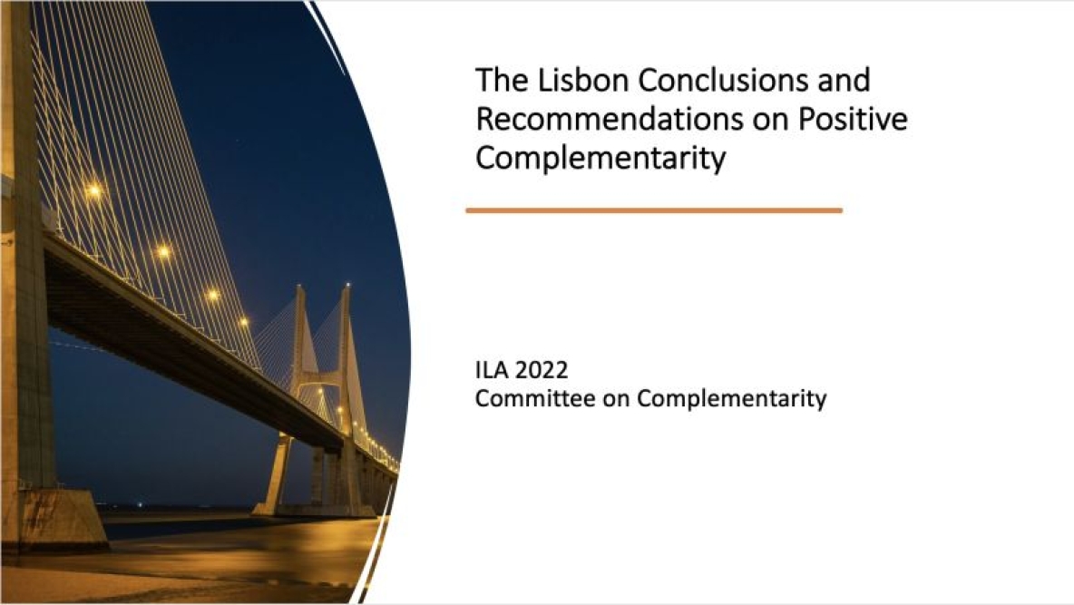 Bridge with lights on it and text reads "The Lisbon Conclusions and Recommendations on Positive Complementarity"