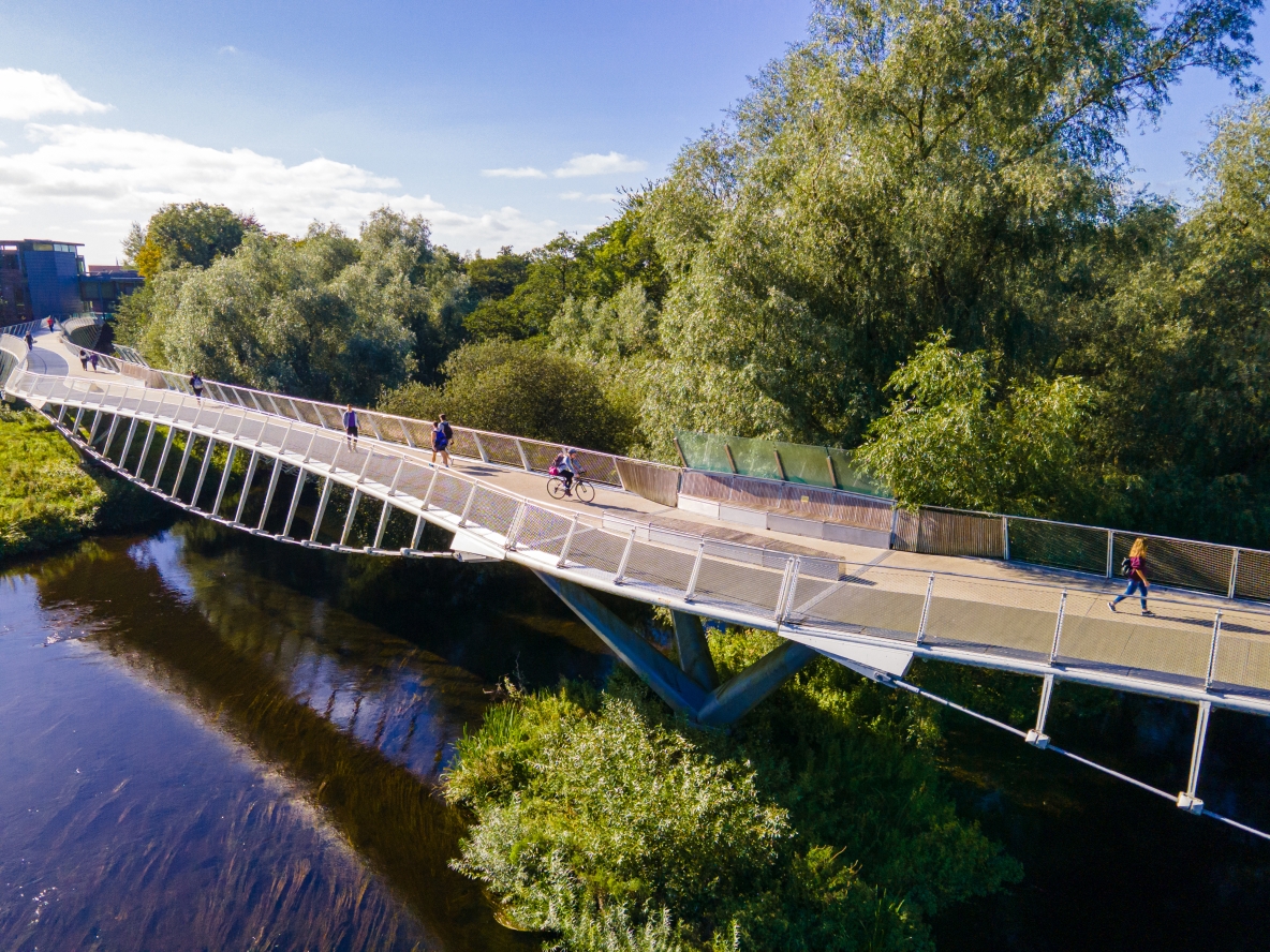 Living bridge in sunshine showing water, trees and sky surrounding