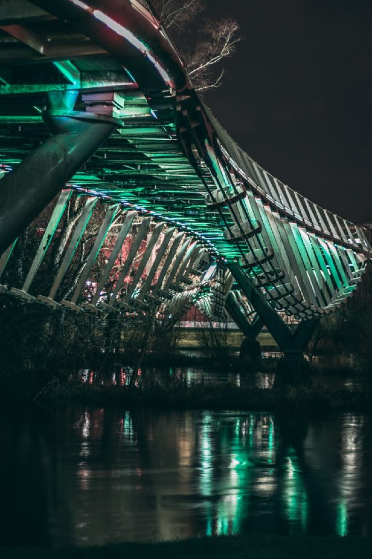 The living bridge lit up at night