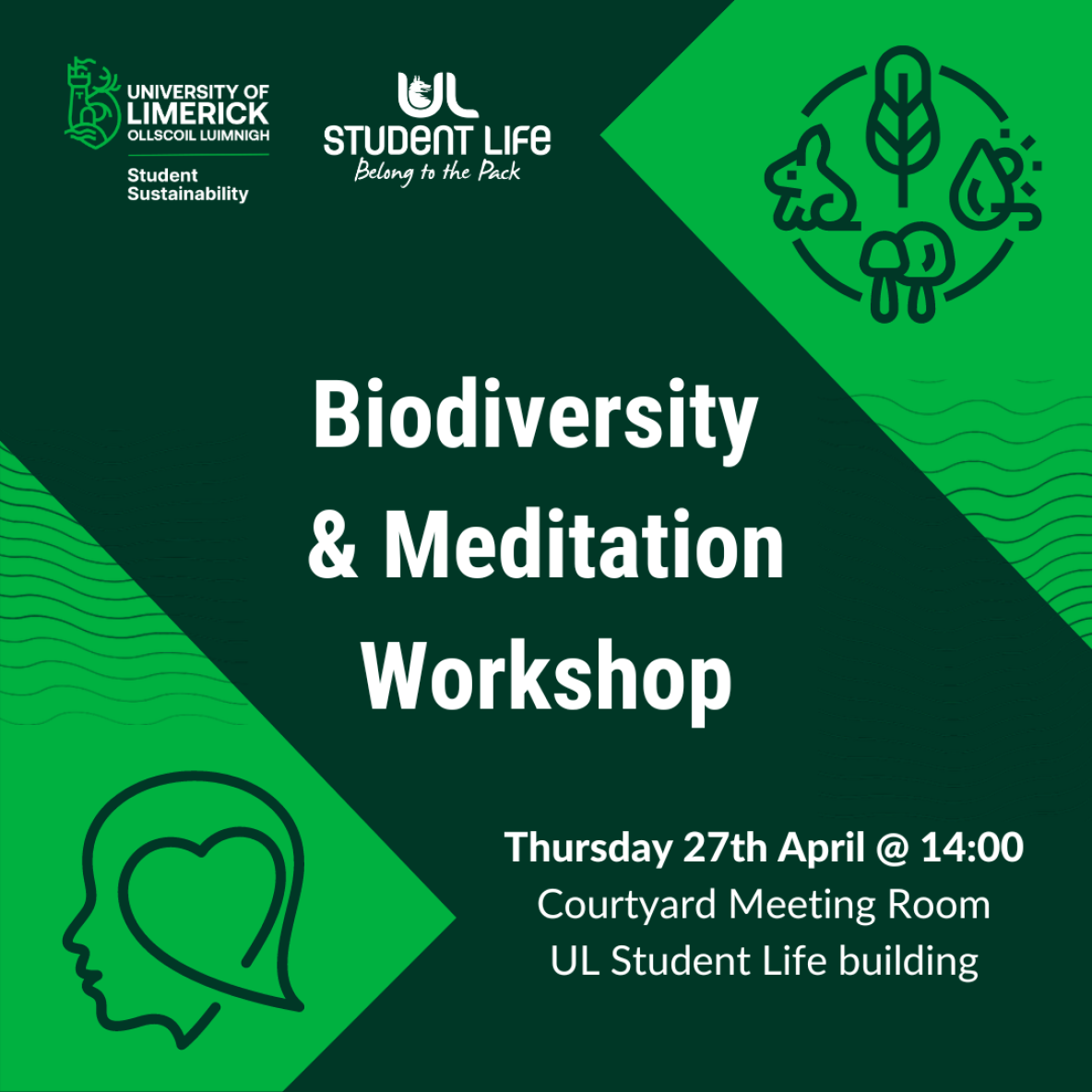 Promotional poster for the biodiversity and meditation workshop
