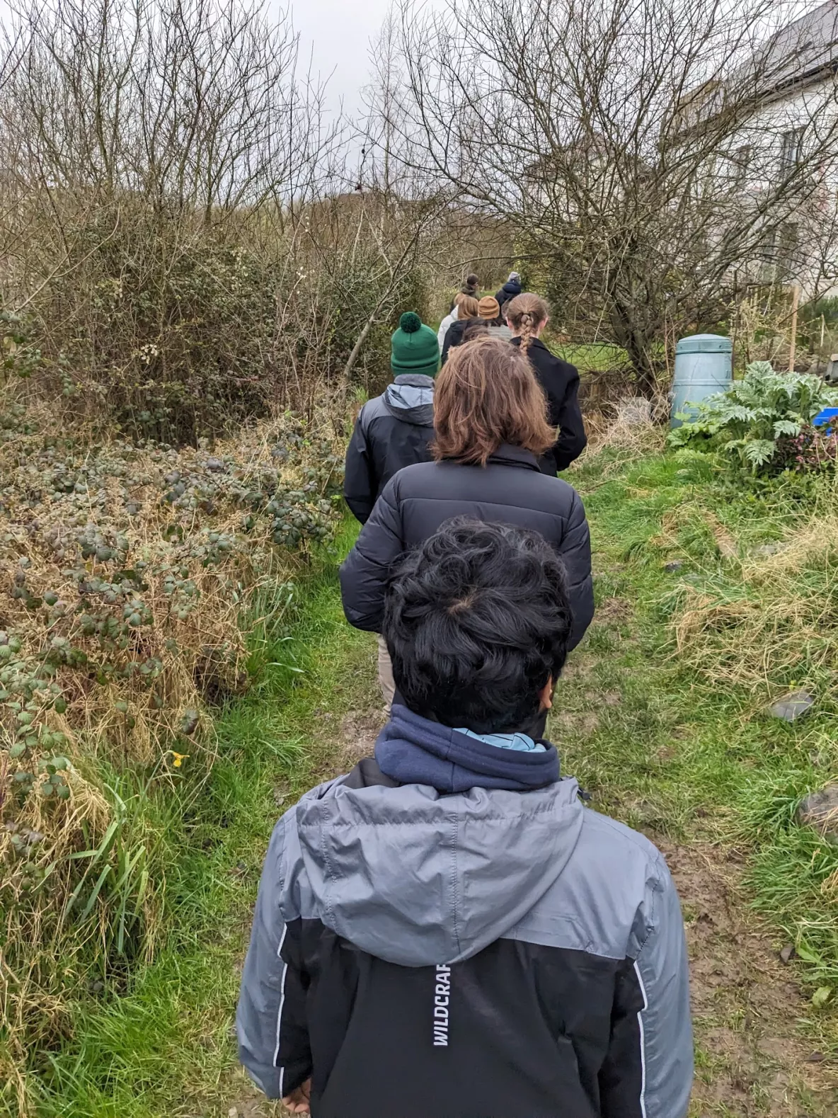 A group of students walking through the wilderness in Cloughjordan Eco Village
