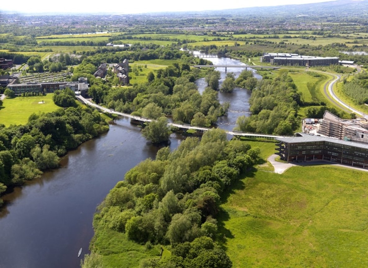 University of Limerick living bridge