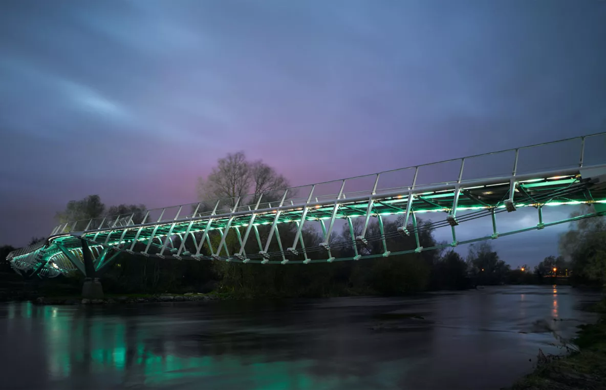 Living bridge, nighttime.
