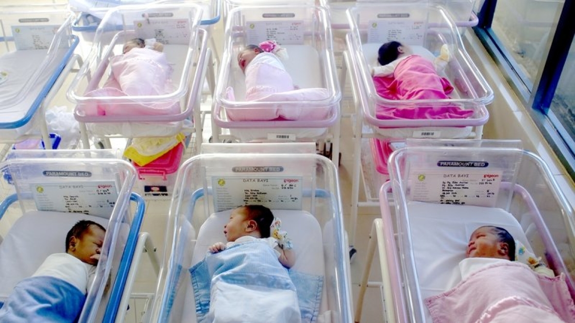 Newborn babies at the hospital.