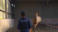 Hands on with Horses (2021 - current)