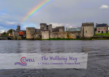 The Wellbeing Way (2020-2021)