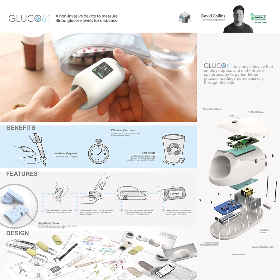 Project Summary for GLUCO61 project
