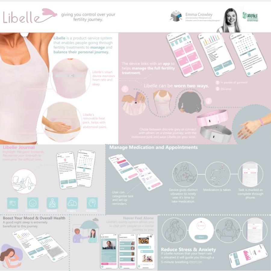 Project Summary for Libelle project