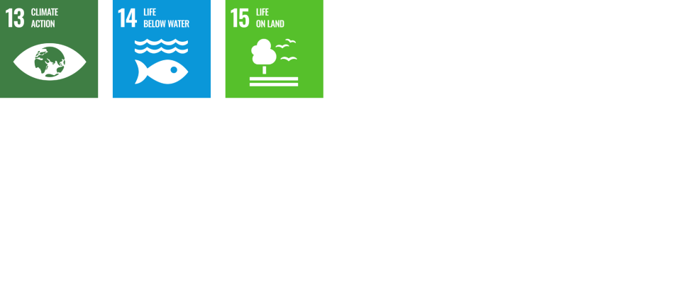 Logos for SDG 13, SDG 14 and SDG 15