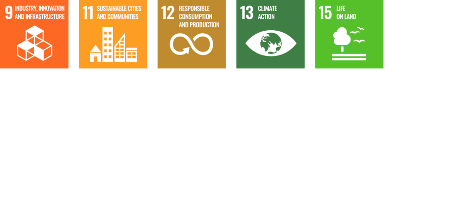 Logos for SDG 9, SDG 11, SDG 12, SDG 13 and SDG 15