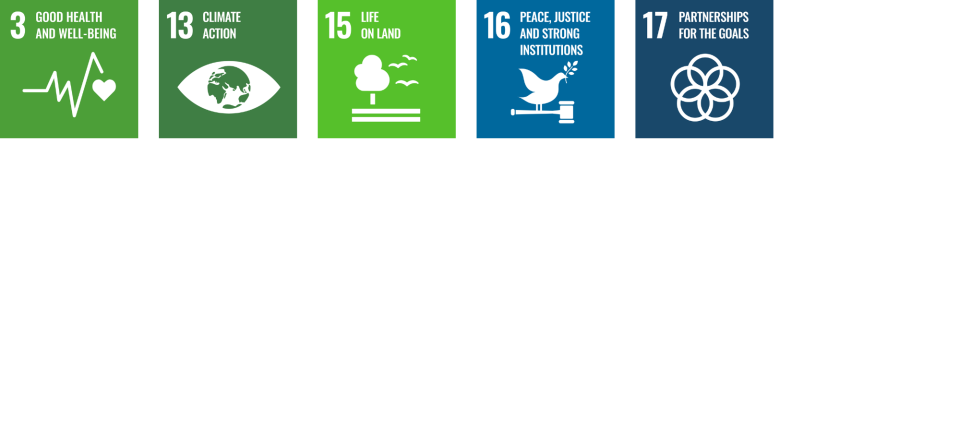 Logos for SDG 3, SDG 13, SDG 15, SDG 16 and SDG 17