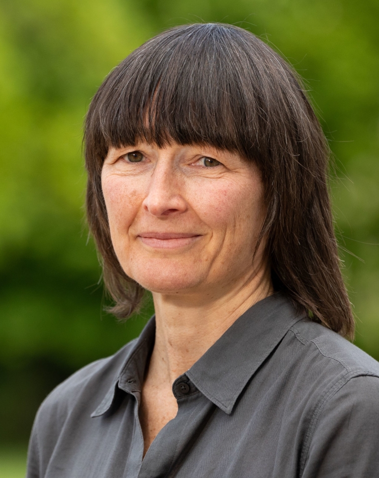 Headshot of Professor Ann MacPhail