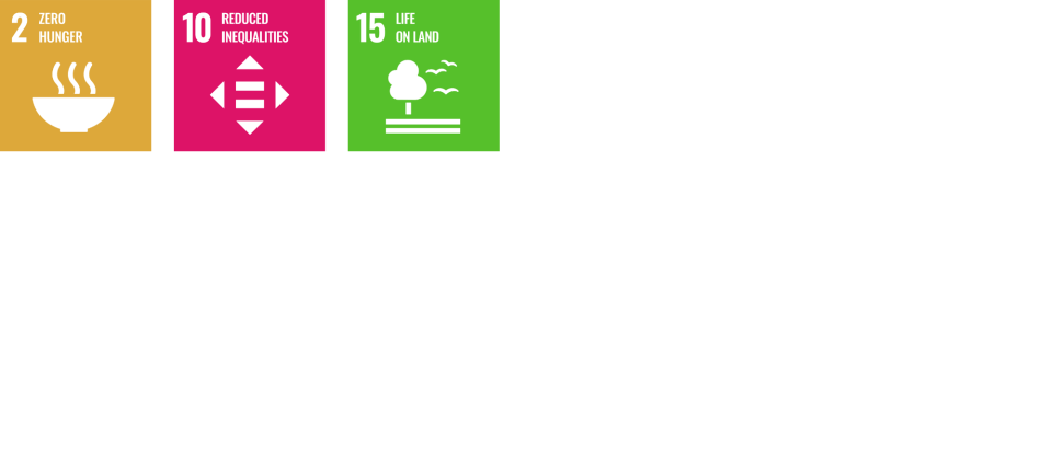 SDG logos 2, 10, and 15