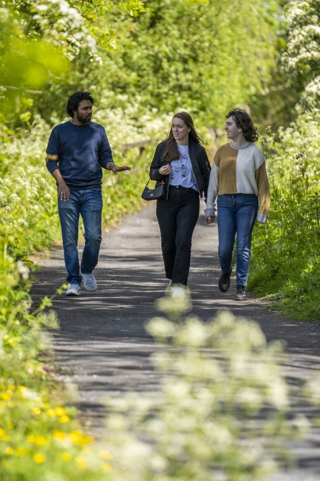 three students walking through a wooded area