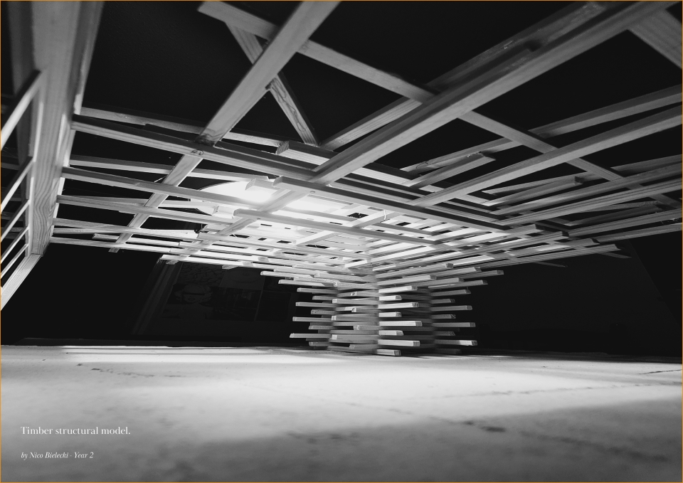 Timber structural model. Nico Bielecki.
